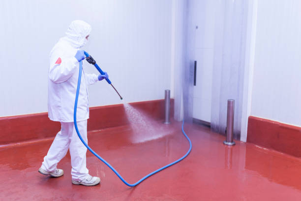 Best Solar Panel Cleaning  in Carlstadt, NJ