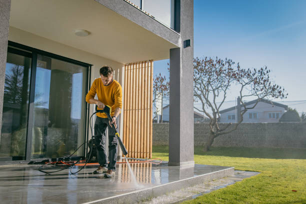 Best Graffiti Removal  in Carlstadt, NJ
